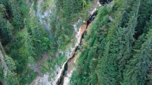 Кто такие РУМЫНЫ? Происхождение НАРОДА!