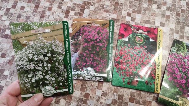 Петуния-гигант!Обильноцветущая,мощная,нетребовательна в уходе! смотреть онлайн