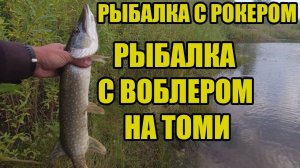 С воблером на Томь. Рыбалка с рокером.