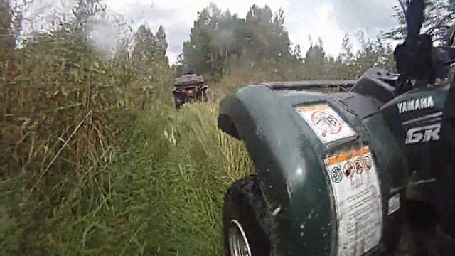 Псковская озеро Каменное смотреть онлайн