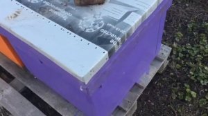 Зимовка в ульях из двп + пенопласт. 02.01.2020