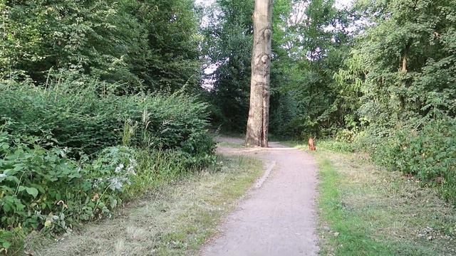 Vlog #1: Мой первый влог на русском // Монолог о лососе смотреть онлайн