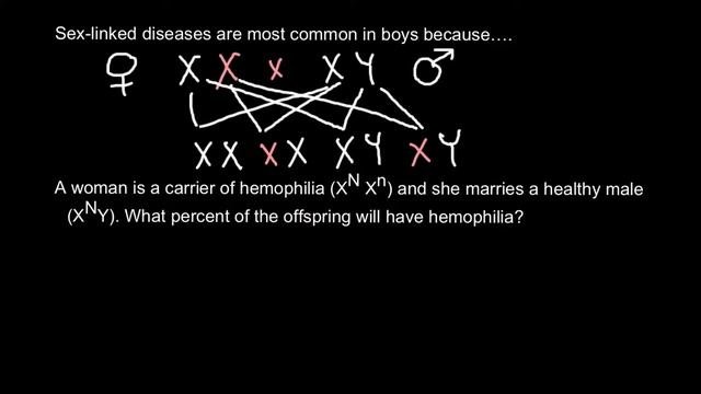 Genetic Explanation Of How Hemophilia Inherited