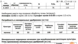 Получила анализы воды и почвы. Какой план питания ежевики и малины необходим