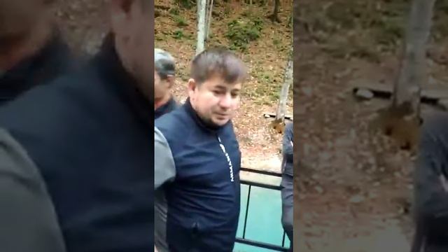 Копия видео "Чечня Найбера" смотреть онлайн