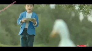 Реклама Хайнц - "Утка"