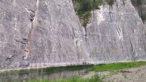 прогулка по лесу