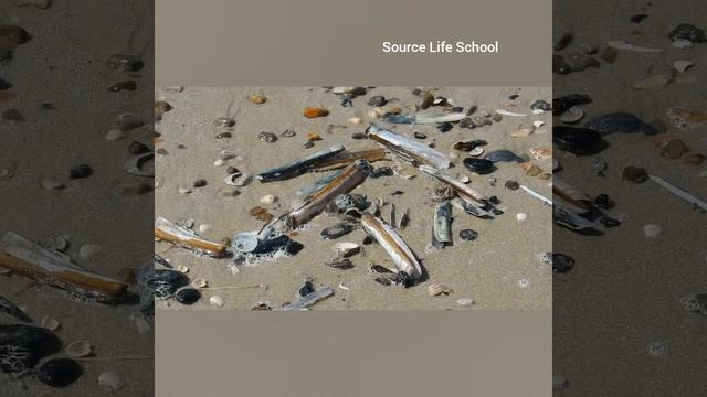 Медитация на выход из эгрегора должников. Отключитесь от кредитов и долгов на уровне подсознания. смотреть онлайн