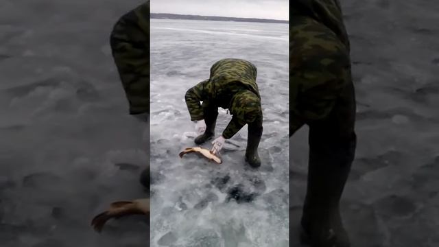 Рыбалка на Отрадном озере