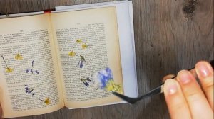 Объемная и плоская  сушка цветов. Как засушить розы.