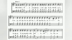 Глас 6. Ирмосы воскресные, поемые на панихиде. 2 сопрано