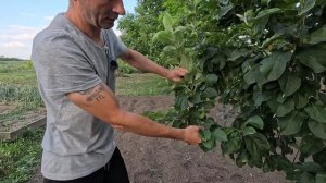 Грамм собственного опыта стоит дороже тонны чужих наставлений