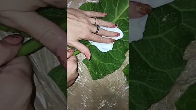 Силиконовые молды (силиконовый молд лопух) своими руками?дубль два, уже лучше?