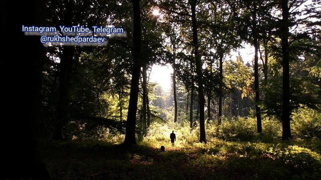 Шеър "Каме рохат фарогат кун" 2022сол смотреть онлайн