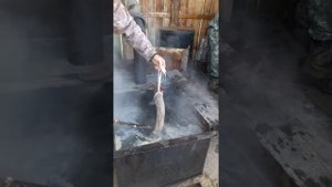 Первичная консервация пант!!!