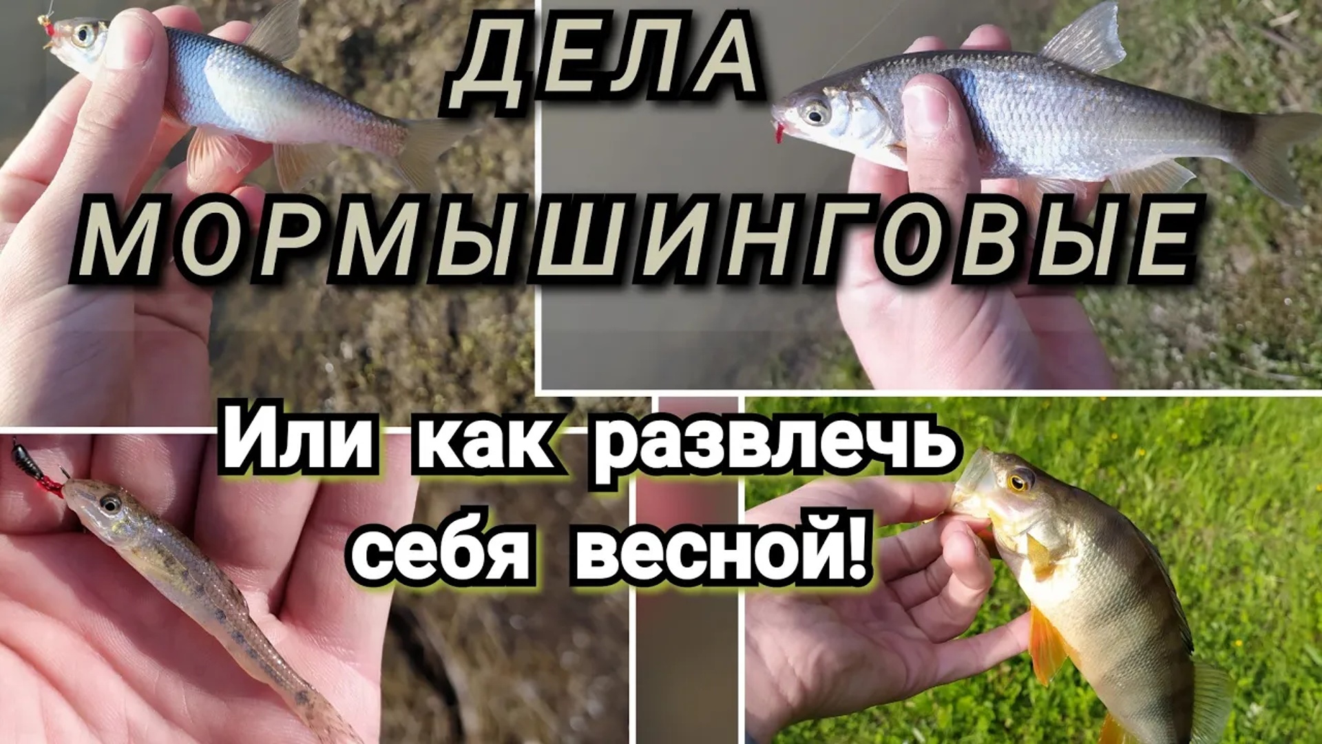 КИНУЛ ПОД ВЕТКУ и ПОНЕСЛОСЬ! Мормышинг весной на реке! смотреть онлайн