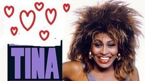 The BEST of Tina Turner