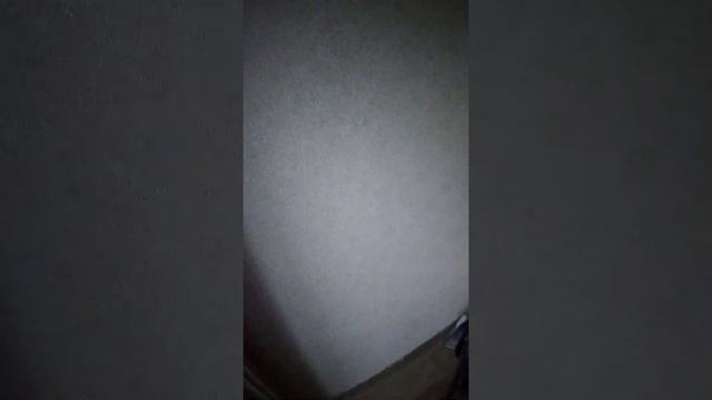 как отключить пожарную сигнализацию под натяжным потолком сигнализацыю смотреть онлайн