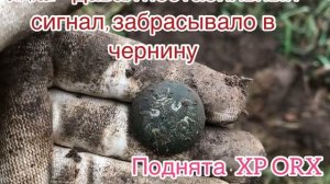 Коп с Xp ORX и Simplex+  в Калужской области. Небольшое сравнение приборов по глубине.