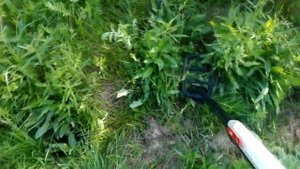 Первый коп с Minelab Go-find 40