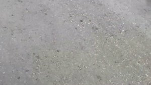 влог Викин день рождения||заказали суши•