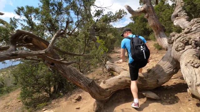 Крым. Новый Свет, прогулка по Реликтовой можжевеловой роще. Царский пляж. #крым смотреть онлайн