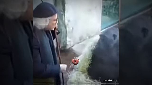 СМОТРИ И СМЕЙСЯ