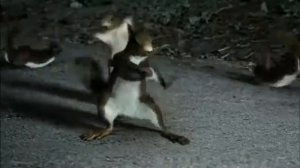 Лучшая реклама. Ролик Мерседес. TOP Mercedes TV Commercial