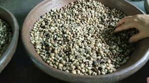 Старинный способ приготовления кофе лувак / Самый дорогой кофе в мире