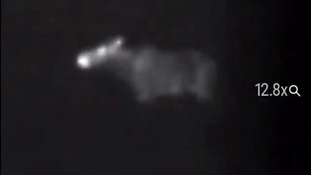 Лось Pulsar Trail XP50 смотреть онлайн