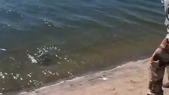 На рыбалке в Крыму смотреть онлайн