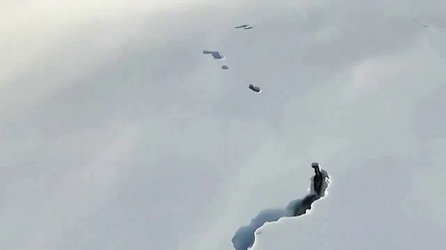 Волки роют туннели в снегу