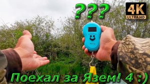 Нахлыст. Взял весы, но голавль взвешиваться отказался!!! :)))