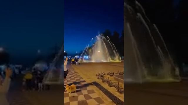 Ночная жизнь