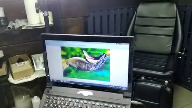 Змея смотреть онлайн