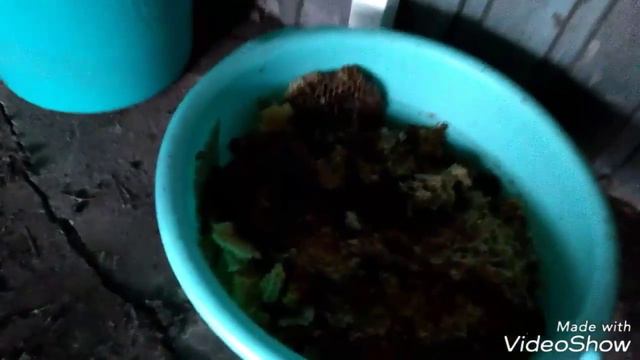 EVD как плавить воск? смотреть онлайн