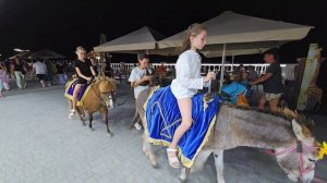 Судак, лето 2024 г.