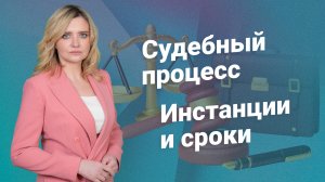 Судебный процесс. Инстанции и сроки