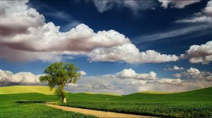 21. В одно окно смотрели двое