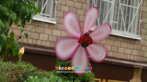 Запуск шаров на выпускном в детском саду