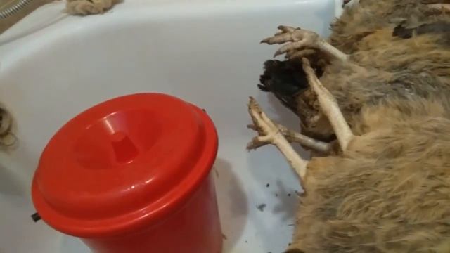 / Часть 5 / Кучинская Юбилейная – забой в 1,3 месяца. смотреть онлайн