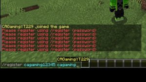 minecraft login security password server