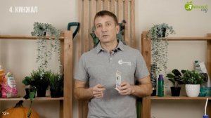 Лучшие сорта острого перца. Рекомендации по посеву острого перца семенами на рассаду