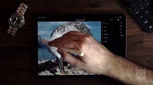 Обработка фото на iPad Pro