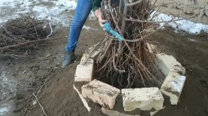 ТАНДЫР своими руками за 18 $. ТАНДЫР из кирпича. КАК сделать тандыр без раствора