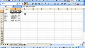 Excel 2003 Tutorial Inserting & Deleting Spreadsheets Microsoft Training Lesson 14.3