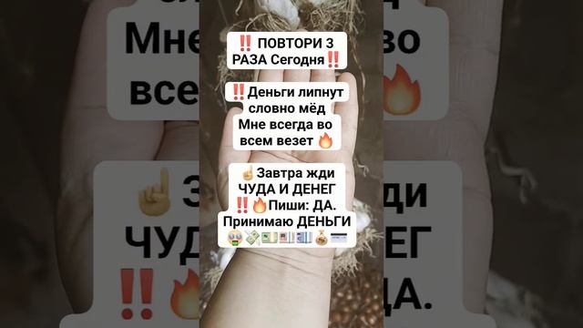 Подпишись на богатство‼️ #приметы#деньги #заговоры #обряды #обрядынаденьги #ритуал #ритуалы #загово