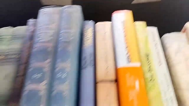 Сходили в магазин Чумодан  за книгами (барахолка в Москве)
