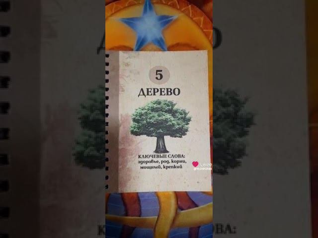 Авторский Справочник Аланы Ленорман "Компас Ленорманиста"