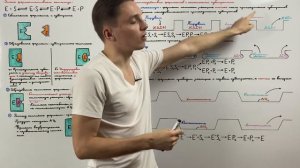 Этапы ферментативного катализа. Взаимодействие ферментов с несколькими субстратами